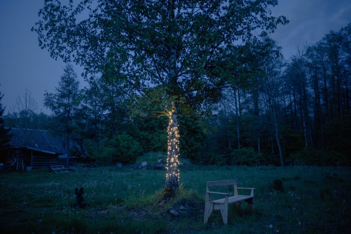 In der Blauen stunde steht auf einer Wiese ein Baum, um dessen Stamm eine leuchtende Lichterkette gebunden ist. Vor dem Baum steht eine Bank. Im Hintergrund ist ein Haus zu erkennen.