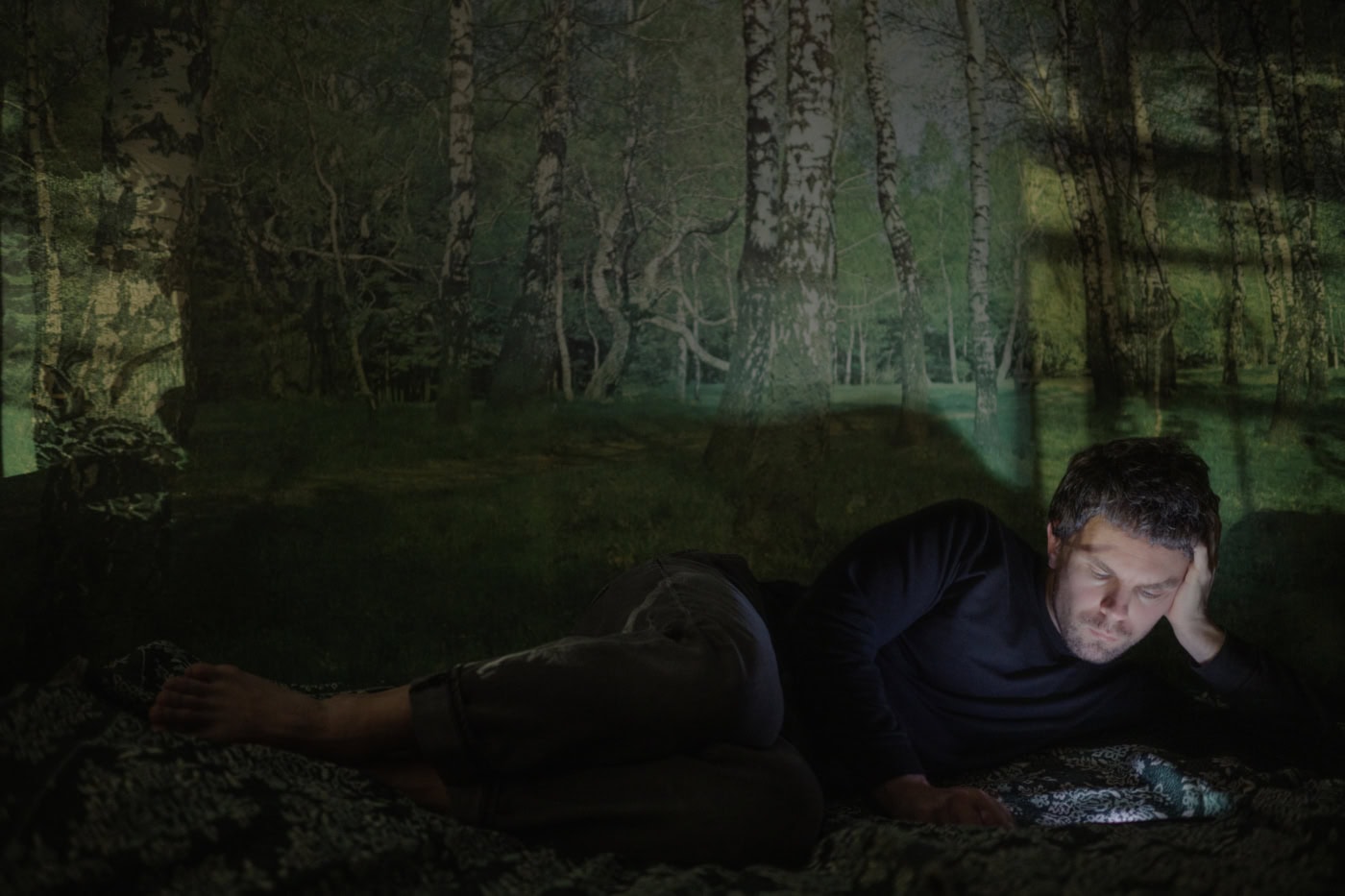 Auf dem Selbstportrait sieht man den Fotografen, einen Mitte Dreißig Jährigen Mann, auf einem Bett liegen. Sein Kopf ist auf seine Hand gestützt. Das Zimmer ist dunkel und sein Gesicht wird von dem Licht seines Smartphones erleuchtet. Auf der Wandtapete hinter ihm, ist das Bild eines Waldes zu erkennen.