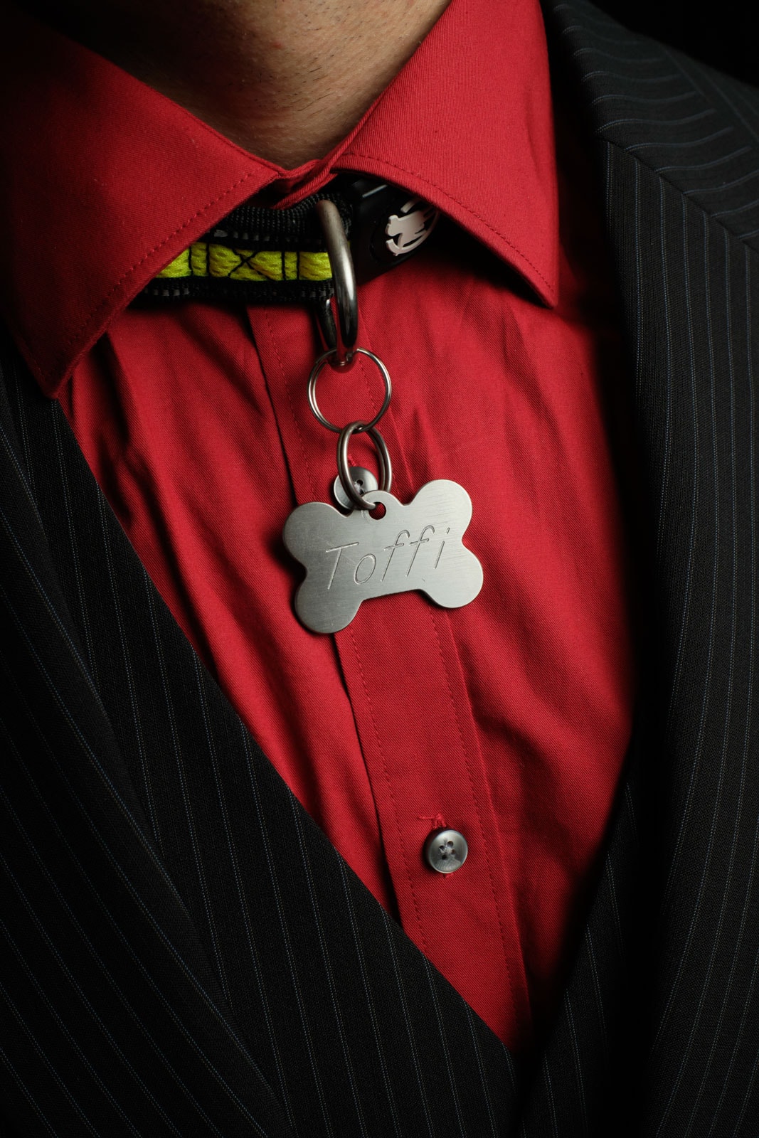 Die Detailaufnahme zeigt Pup Toffi, im roten Hemd, an seinem Halsband hängt ein silberner Anhänger mit seinem Puppynamen «Toffi» eingraviert. Foto: Stefan Nieland