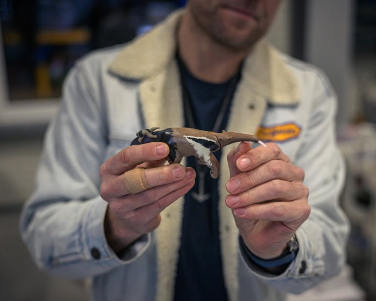 Diorama Künstler Oliver Schaffer demonstriert sein liebstes Playmobil Teil. Eine Ameisenbär Mutter mit ihrem Jungen auf dem Rücken.