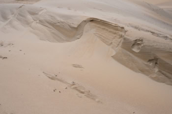 eine querformatige farbige Fotografie. Eine Wüstenlandschaft ist von oben fotografiert, mit einem leichten Sanhügel. Der Sandhügel ist in der Mitte des Bildes eingebrochen.