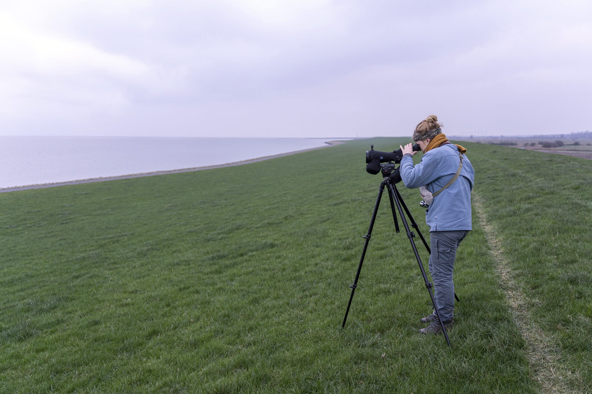 Die Ornithologin Anne de Walmont schaut durch ihr Spektiv in Richtung Wattenmeer.