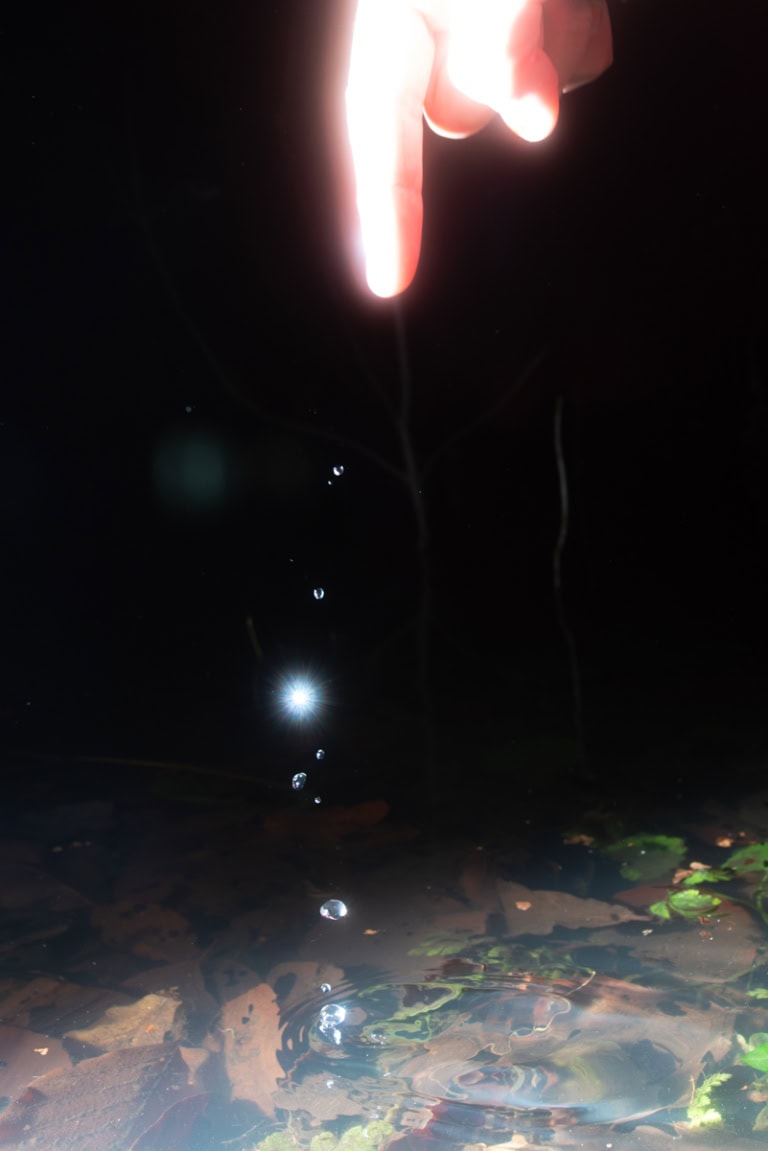 Oben mittig ragt eine stark angeblitzte Hand in das Bild: ein Zeigefinger deutet nach unten. Von dem Zeigefinger fallen vom Blitz erleuchtete Wassertropfen. Der Hintergrund ist schwarz bis auf den unteren Bildrand, der eine Wasseroberfläche und darunter liegendes Laub zeigt. Sammeln statt jagen.