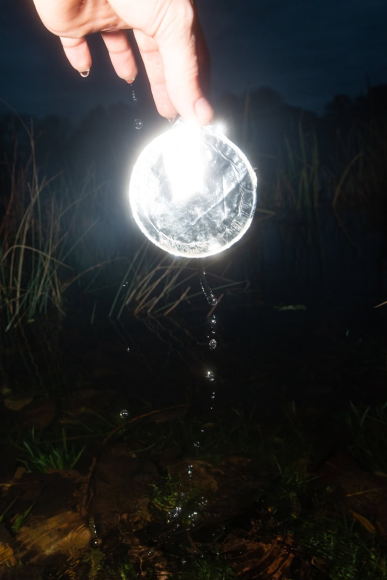 Eine stark angeblitze Hand, die am oberen Bildrand zu sehen ist, hält einen stark angeblitzten runden Gegenstand, der aussieht, wie ein Aluminiumteller. Von dem Teller fallen leuchtende Wassertropfen auf eine Wasseroberfläche. Der Hintergrund ist dunkel, man erkennt ein paar Gräser und weiter entfernt dunkle Schatten von Bäumen, sowie die Wasseroberfläche am unteren Bildrand. Sammeln statt jagen.
