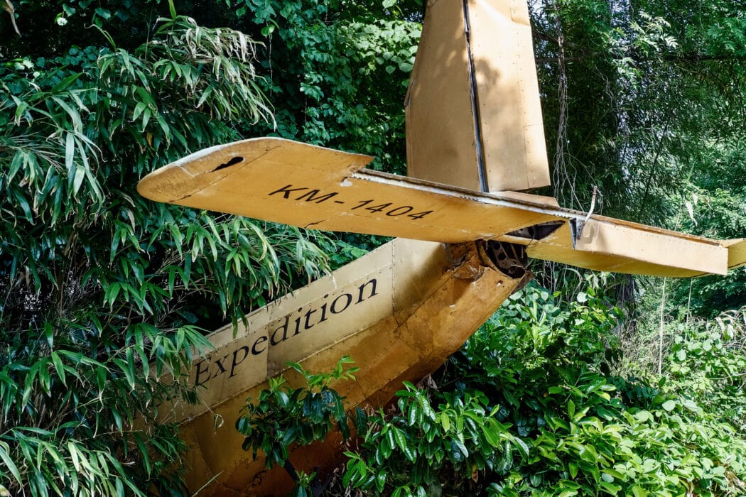 Abgestürztes Flugzeug im Zoo Hannover, umgeben von Pflanzen, fotografiert von Kai Löffelbein.