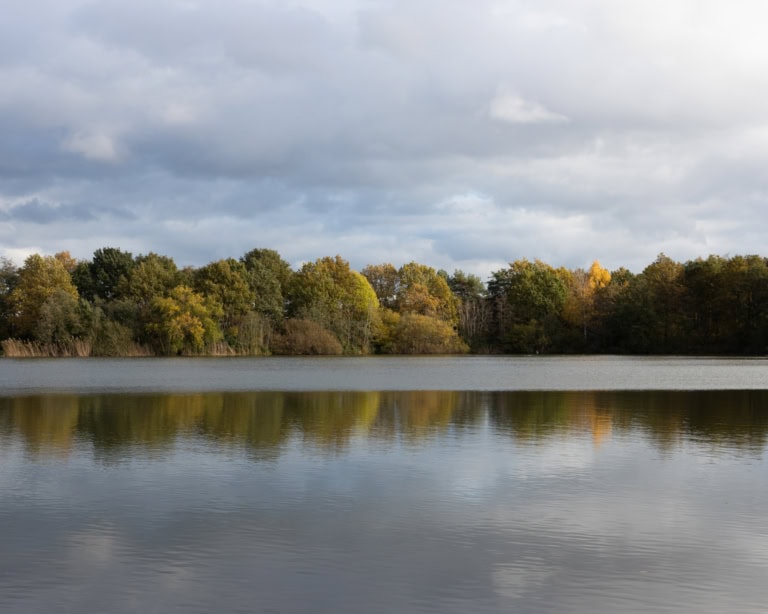 Das Foto zeigt im Vordergrund die Oberfläche eines Sees. Die andere Seite des Sees ist mit Bäumen bewachsen. Der Himmel über dem See ist bewölkt.