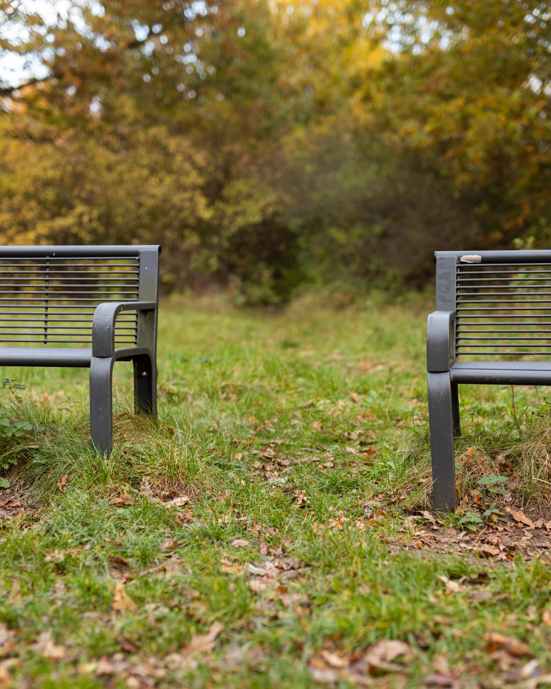 Auf dem Bild sind links und rechts angeschnitten zwei graue Parkbänke aus Metall zu sehen. Der Boden ist mit Gras bewachsen und es liegen Blätter darauf. Im Hintergrund sind unscharf Bäume erkennbar.