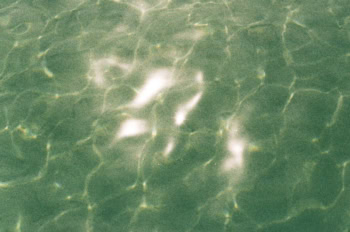 glitzernde Wasseroberfläche