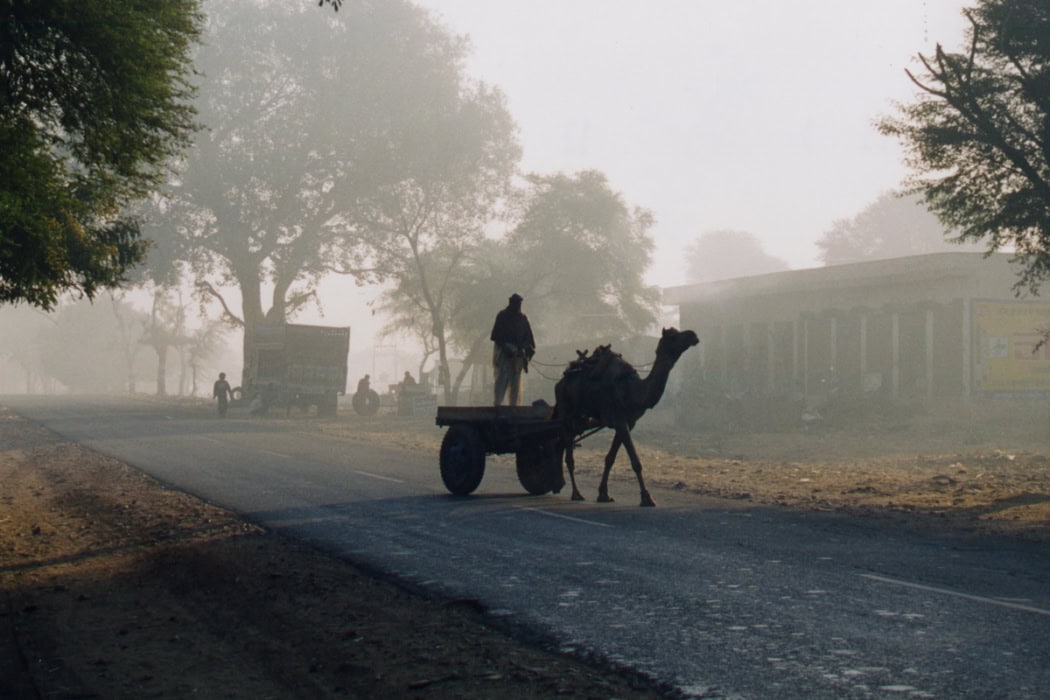 Kamelkarren auf einer Landstraße in Indien bei Morgennebel, mit Silhouetten von Bäumen, anderen Fahrzeugen und Menschen im Hintergrund, die eine ländliche Szene darstellen.