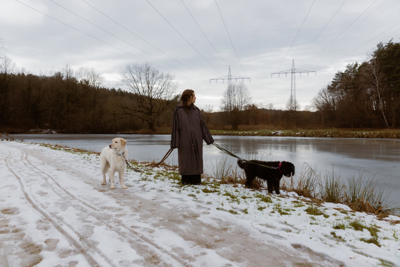 Frau in dunklem Mantel geht mit zwei Hunden an einem teilweise zugefrorenen See entlang im Winter