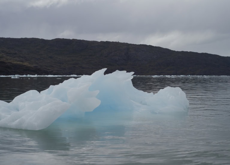 Ein blau-weißer Eisberg schwimmt im ruhigen Wasser eines Fjords. Im Hintergrund ist eine felsige, bewaldete Küstenlinie unter einem bewölkten Himmel zu sehen.